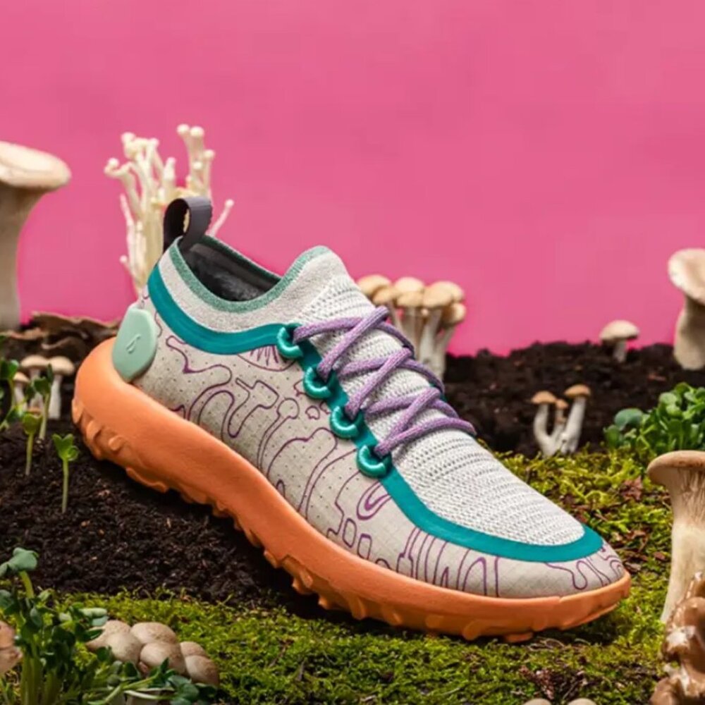 Allbird Trail Runners (Limited Edition) in Orange, Purple, Blue and Gray